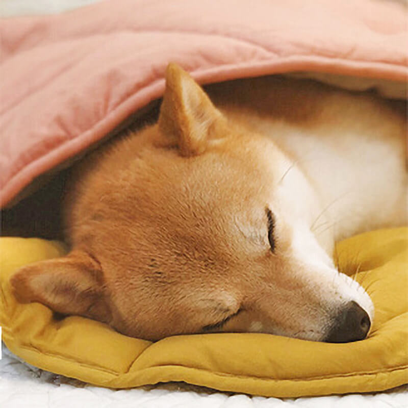 Leaf Shape Dog Blanket