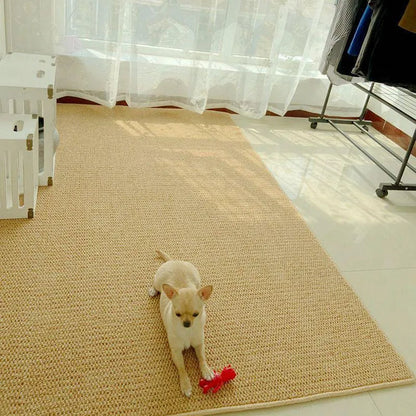 Faux Sisal Pet Carpet Scratch-resistant Room Carpet