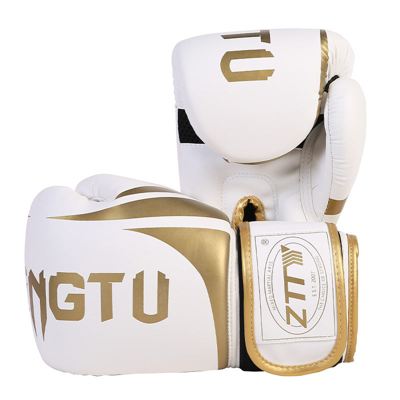 Adult boxing gloves and protective gear